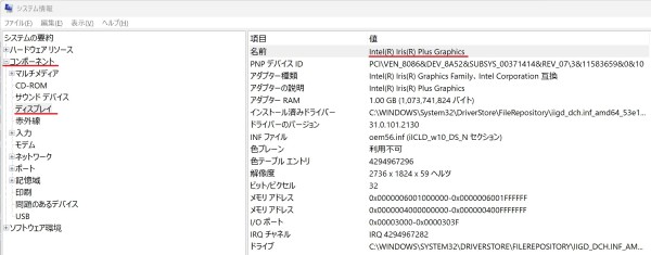 自分のパソコンのスペックを「スタート」＞「システム情報」＞「コンポーネント」＞「ディスプレイ」からビデオカード情報も確認している様子