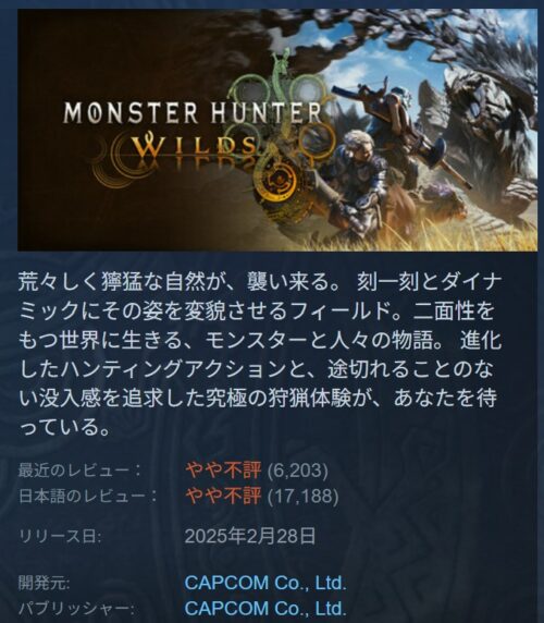 モンスターハンターワイルズのSTEAMでの評価