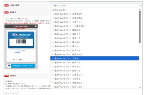 ★エントリーページの様子